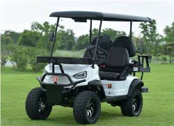 APOLLO E-BOLT ELECTRIC OFF-ROAD GOLF CART,  ALLOY WHEELS – LED 48V/4000W,150A