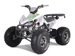 TaoTao 120CC NEW Cheetah PLATINUM ATV, Fully Automatic with Reverse, Air Cooled, 4-Stroke, 1-Cylinder - Green