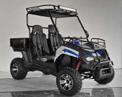 TrailMaster Challenger 200EUX (EFI) Utv, Automatic CTV with reverse