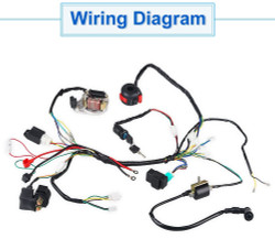 Wiring Harness Compatible with Tao Tao 125CC 110cc 90cc 70cc 50cc ATV Dirt Bikes with Ignition Coil Switch CDI Box 2 Coil Stator Scooters Go Kart Compatible with Coolster Baja Roketa