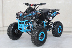 Trailmaster C125 125cc Atv, 4 Stroke, Automatic With Reverse, Single Cylinder