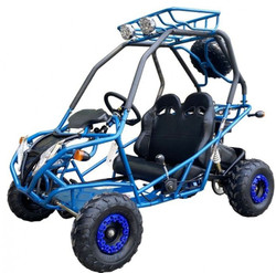 DongFang 200cc GVA-21 Go Kart, Auto With Reverse, High Power Engine, Rear Independent Suspension, Remote Control Shutoff, Spare Wheel