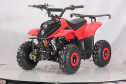 DongFang 110cc (DF110AVA) Gas ATV With 6-inch Wheel, Electric Start, Remote Shut Off Switch