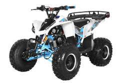 TrailMaster F125 Youth ATV, 125Cc, 4-stroke, 8" wheel, Automatic with Reverse, electric start - Blue