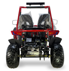 Ice Bear BARSTOW 200 (PAG200-1) Go kart, 200cc, 10" wheel, automatic with reverse