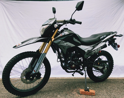 HAWK 250 DLX DECALS