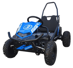 TrailMaster Cheetah i3 Super Quiet 500W DC Motor Forward and Reverse gear