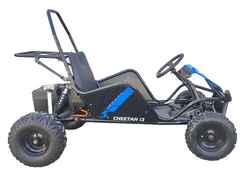 TrailMaster Cheetah i3 Super Quiet 500W DC Motor Forward and Reverse gear
