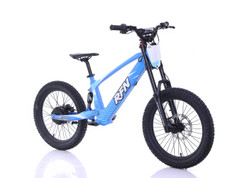 RFN EVO 20 Electric Kids Bike, 750W Power, Brushless Hub Motor