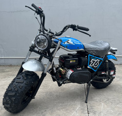 TrailMaster Mini Bike Hurricane 200 Pro Electric start and pull start backup Powerful 196cc OHV engine