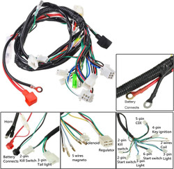 Wire Harness Complete 6 Coil Stator CDI Wiring Harness for 49cc 50cc 70cc 90cc 110cc 125cc 150cc GY6 Taotao Kazuma Baja ATV Dune Buggy Go Kart Scooter Pit Bike Quad Moped 4 Stroke Engine Harness