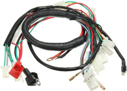 New Main Wiring Harness 110cc 125cc TaoTao ATVs Quads Four Wheeler