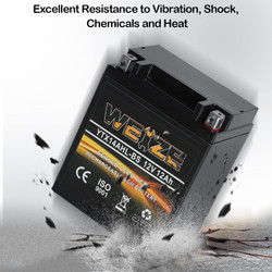 YTX14AHL-BS High Performance - Rechargeable - Sealed Motorcycle Battery Compatible With Polaris Scrambler, Sportsman 90, Honda Scooters NQ50 Spree,Kawasaki 110 KLX110 Blue