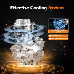 250cc 4-Stroke Engine Motor for ATV Dirt Bike, 5-Speed Manual Transmission Engine CG250 Vertical Engine Motor - Single Cylinder