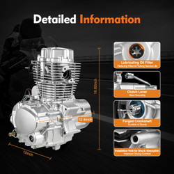 250cc 4-Stroke Engine Motor for ATV Dirt Bike, 5-Speed Manual Transmission Engine CG250 Vertical Engine Motor - Single Cylinder