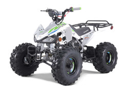 Taotao 125Cc Cheetah G125 Atv,  Air-Cooled, 4-Stroke, Single-Cylinder