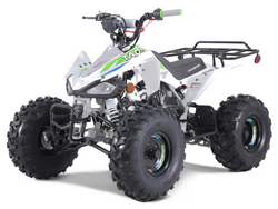 Taotao 125Cc Cheetah G125 Atv, Air-Cooled, 4-Stroke, Single-Cylinder