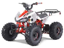 Taotao 125Cc Cheetah G125 Atv, Air-Cooled, 4-Stroke, Single-Cylinder
