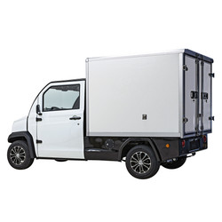 NeoDrive eCart Box: High-Performance Electric Utility Truck with Climate-Controlled Cabin & 108 cu ft Cargo Box