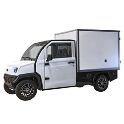 NeoDrive eCart Box: High-Performance Electric Utility Truck with Climate-Controlled Cabin & 108 cu ft Cargo Box
