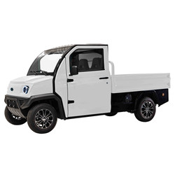 NeoDrive eCart: High-Performance Electric Utility Truck with Climate-Controlled Cabin & 25 cu ft Cargo Bed