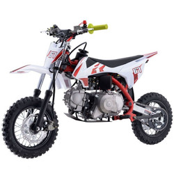 Dongfang 110cc Dirt Bike RF ZOOME K1-110 with Automatic Transmission, Electric Start, Front Hydraulic Disc Brake, Chain Drive