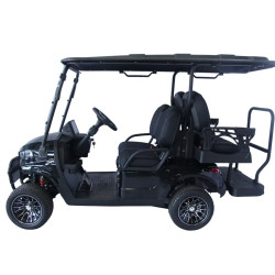 RPS 5Kw Electric Powered B1(2+2) Golf Cart, 4-Seater, Long Range