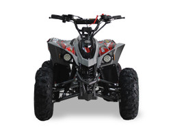 Ice Bear SY125 YX 125cc | 3-Speed Semi-Automatic with Reverse