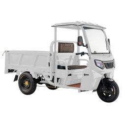 Massimo MGC Cargo Max Electric Utility e-Trike