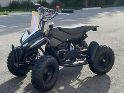 DongFang 50cc Kids ATV,2-Stroke Engine with Kill Switch and Auto Transmission