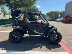 TrailMaster Cheetah 300Pro UTV EFI CVT Automatic with LED Light Bar, Windshield & Spare Tire