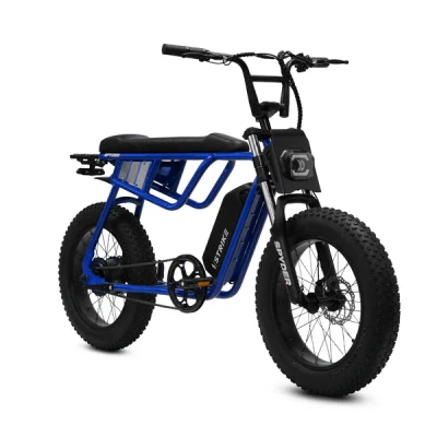 SRPNT SPYDER 500 Electric Bike – 500W Motor, 48V 13Ah Battery, Fat Tire E-Bike