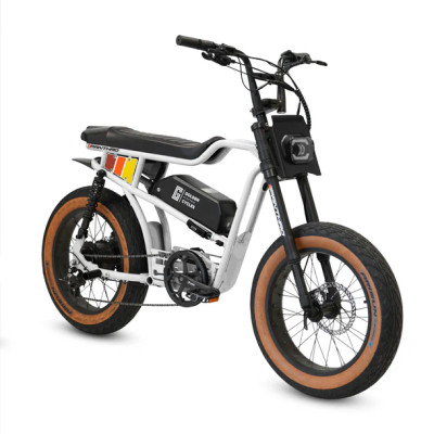 Roketa EB-50 Electric Bicycle | 750W 48V | Txpowersports