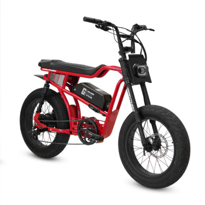 Roketa EB-50 Electric Bicycle | 750W 48V | Txpowersports