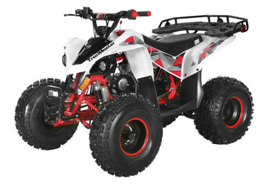 TrailMaster F125A Youth ATV, 125Cc, 4-stroke, 8" wheel, Automatic with Reverse, electric start Assembled Version