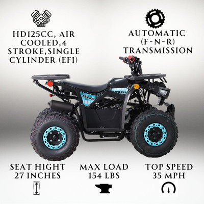 Ice Bear 125UT-D SY 120cc Utility ATV | Automatic F-N-R, EFI, Front & Rear Racks