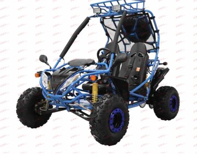 Dongfang DF200GSA-25 200cc Go-Kart – Full Size Automatic Go-Kart with Reverse