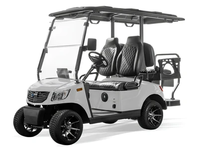 Massimo MVS 2X Lithium Golf Cart – 48V 5kW Electric