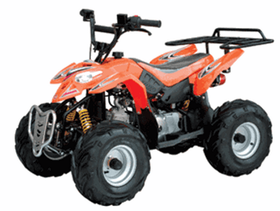 ATV 110CC L1 (ATV 110CC W/ REAR RACK REMOTE KILL AND START & MORE) - Orange