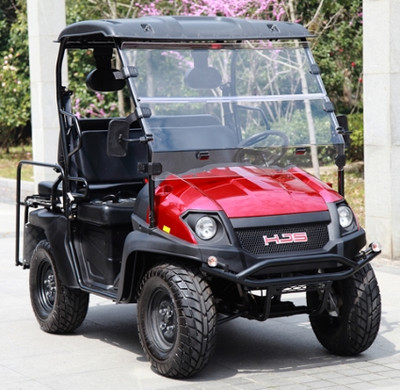 New Linhai Big Horn 200GVX 4 Stroke Overhead Cam, Air/Oil Cooled Side By Side UTV