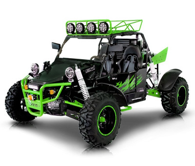 BMS V-TWIN BUGGY 800 PLATINUM 2SEATER, 794CC V-TWIN CYLINDER 4 STROKE WATER COOLED - Green