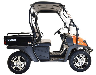 MASSIMO BUCK 200 UTV, 177cc Four-Stroke, Single Cylinder