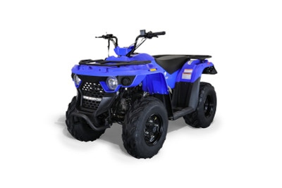 MASSIMO LH150 147cc, Air Cooled, Four Stroke Single Cylinder SOHC