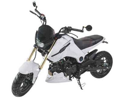 ICE BEAR FUERZA 125CC AIR COOLED, 4 SPEED (PMZ125-1) MOTORCYCLE