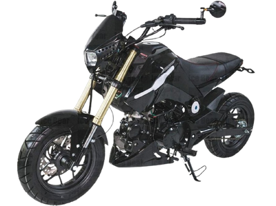 2024 MODEL ICE BEAR FUERZA 125CC AIR COOLED, 4 SPEED (PMZ125-1)