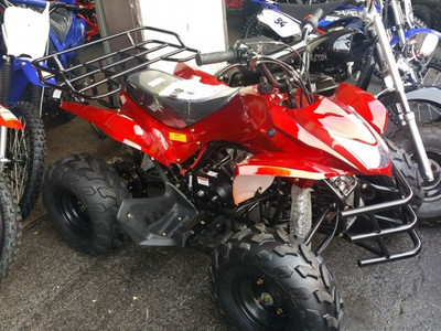 RPS 125CC Shark 8 Kids Atv, 125Cc Air-Cooled, 4-Stroke, Single Cylinder -Red