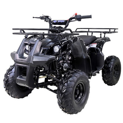 Taotao ATA 125D ATV 107cc, Air Cooled, 4-Stroke, 1-Cylinder, Automatic,- Fully Assembled and Tested - Black Spider