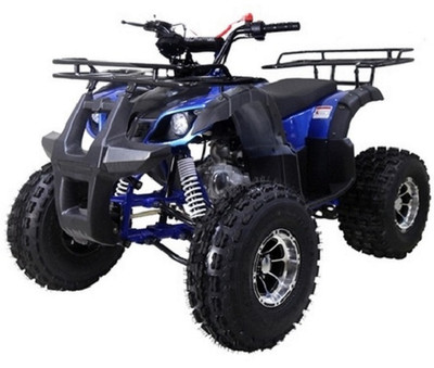 TaoTao 125CC New T-FORCE Assembled Mid Size ATV - Txpowersports.com