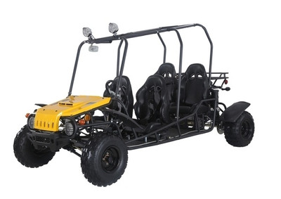 TaoTao 4FUN200 176cc, Air Cooled, 4-Stroke, 1-Cylinder, Fully Automatic with Reverse, Chain Drive