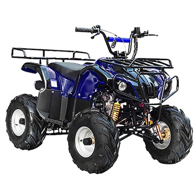 Taotao ATA 110D ATV, Air Cooled, 4-Stroke, 1-Cylinder, Automatic Electric Start - Fully Assembled and Tested (PRE-ORDER) -Blue